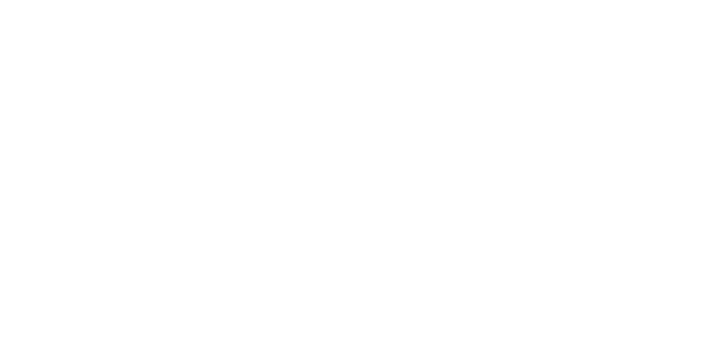 FLAICH Logo